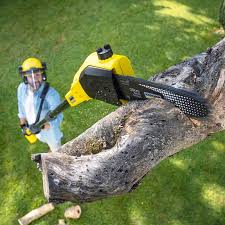 Best Lawn Pest Prevention  in Elmer, NJ